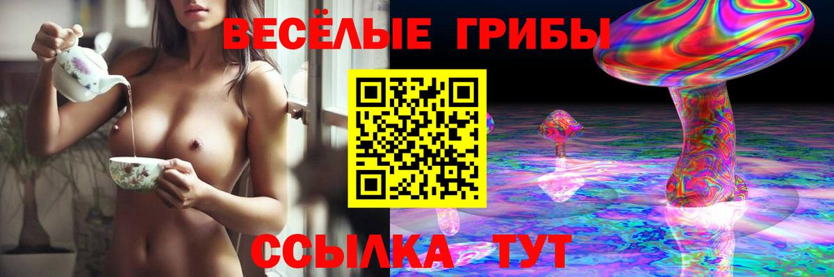 Галлюциногенные грибы MAGIC MUSHROOMS Семилуки