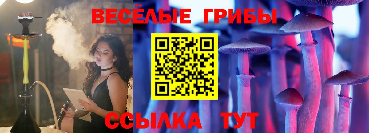 Галлюциногенные грибы GOLDEN TEACHER  Вход с VPN  Галлюциногенные грибы Cubensis  Семилуки 