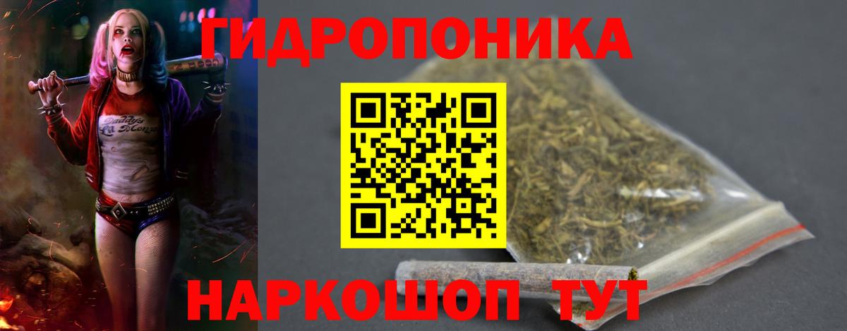 Конопля индика Семилуки
